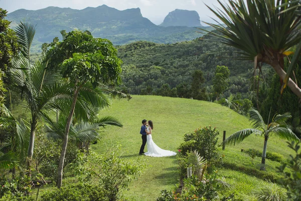 Gyönyörű esküvő egy trópusi sziget hegyeiben.. — Stock Fotó