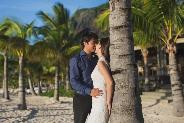 Belo casal de casamento na praia perto de palmeira . — Fotografia de Stock