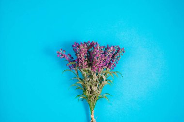 Dekoratif grafiklerle rengarenk bir arka planda bahar renkli çiçekler