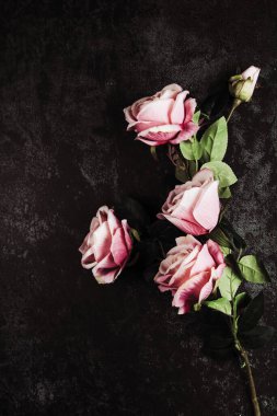 Koyu arkaplanda güzel güller