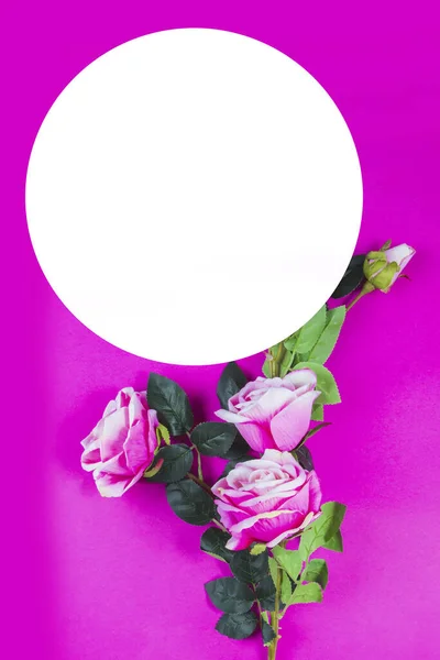 Jarní Barevné Květy Pastelové Barevné Pozadí Dekorativní Grafikou — Stock fotografie