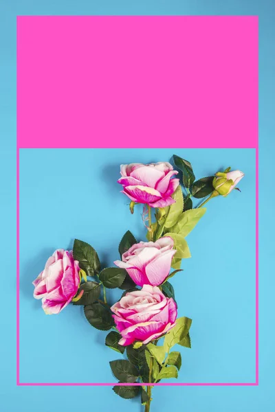 Jarní Barevné Květy Pastelové Barevné Pozadí Dekorativní Grafikou — Stock fotografie