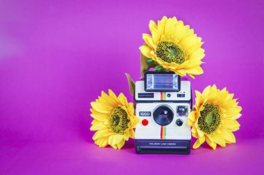 Canlı pembe arka planda ayçiçekleri olan polaroid fotoğraf makinesi.