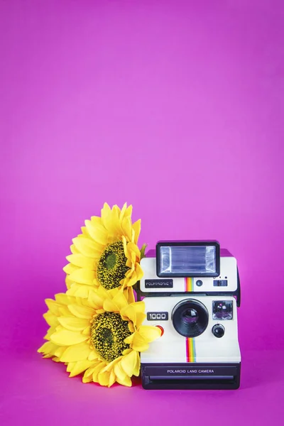 Polaroid Fotoaparát Slunečnicemi Pulzujícím Růžovém Pozadí — Stock fotografie