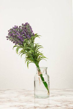 Mermer bir yüzey üzerinde cam vazoda lavanta çiçekleri