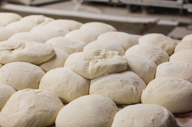 Fırında taze mangır fotoğrafı.