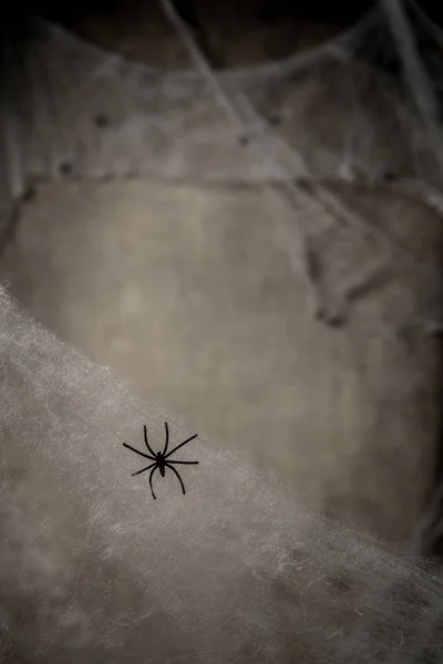 Aranha Preta Uma Teia Com Fundo Grundge — Fotografia de Stock