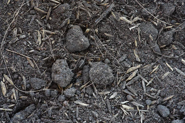 泥炭土壌のテクスチャ背景 — ストック写真