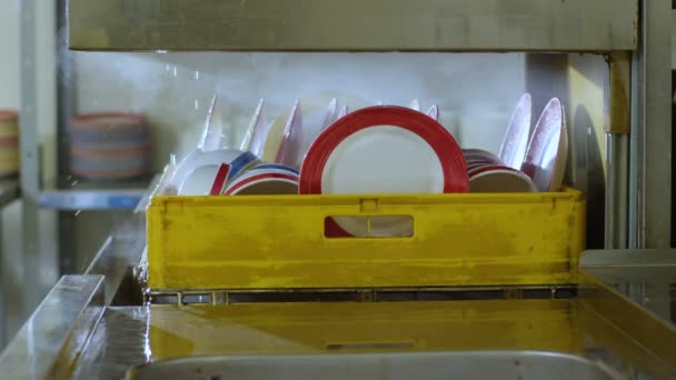 Mulher abre máquina de lavar louça com placas limpas — Vídeo de Stock