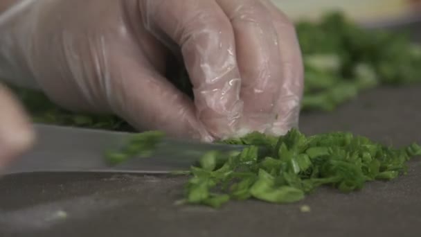 Nahaufnahme Koch Hände geschnitten Koriander an Bord — Stockvideo