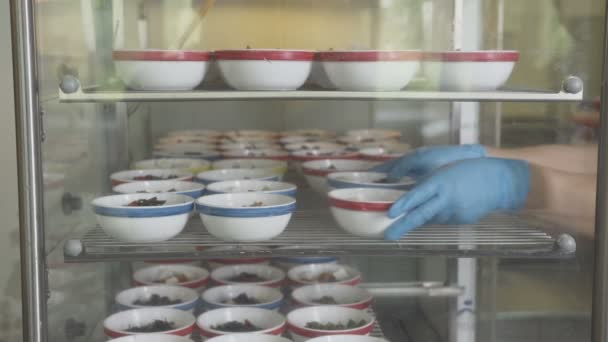 Cozinhe as mãos Coloque placas com alimentos no balcão — Vídeo de Stock
