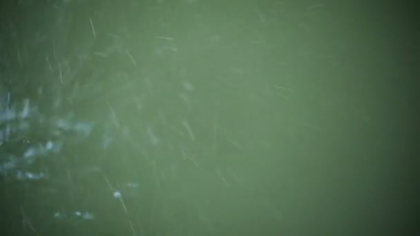 Капли макродождя падают на поверхность лужи — стоковое видео