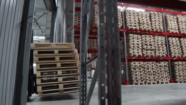 Nákladní Stroj Naložený Dřevěnými Podnosy Pohybuje Prostorném Velkém Lehkém Skladu — Stock video
