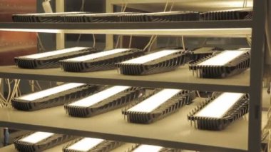 raf ile ışık testi panellerinde led