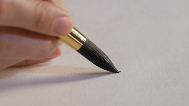 Creative malíř kreslení s černým inkoustem — Stock video