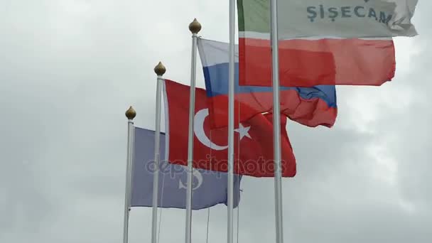 Drapeaux colorés agitant sur des poteaux blancs — Video