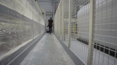 Atölyede metal köprü boyunca yürüyüş işçi
