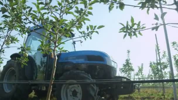 Tracteur se déplaçant entre les lignes de pommiers — Video