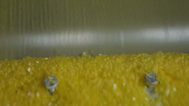 Macro Camera Shows Shiny Small Yellow Sulfur Particles Falling Conveyor — Stock Video