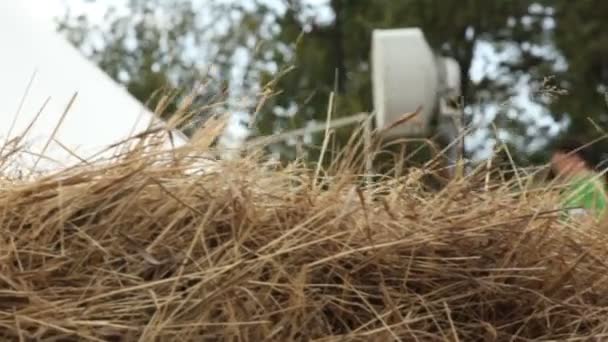 Kazan Tatarstan Russia May 2013 Camera Moves Aside Dry Grass — 비디오