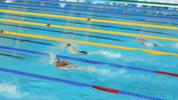 Profisportlerinnen schwimmen im Pool — Stockvideo