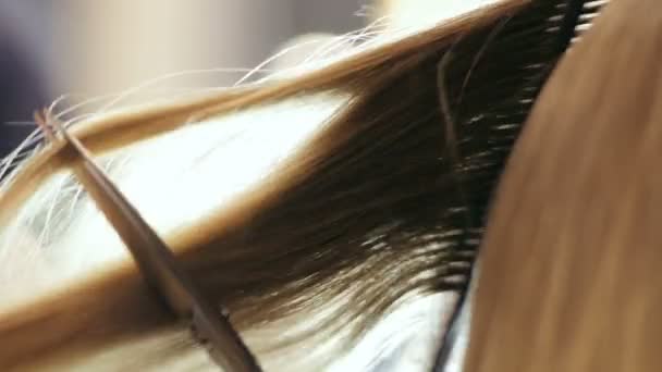 Hairdresser combing client hair — Stock Video