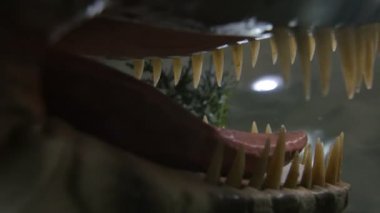 Açık plastik korkunç dinozor jaws