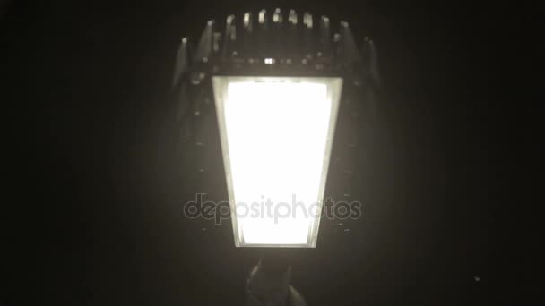LED lampa w czarne etui — Wideo stockowe