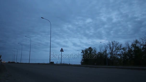 Auto guida e mucche che camminano su strada — Video Stock