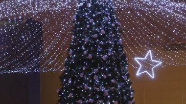 Akşamları harika çelenkler ve güzel toplarla süslenmiş harika Noel Ağacı boyunca hareket edin.