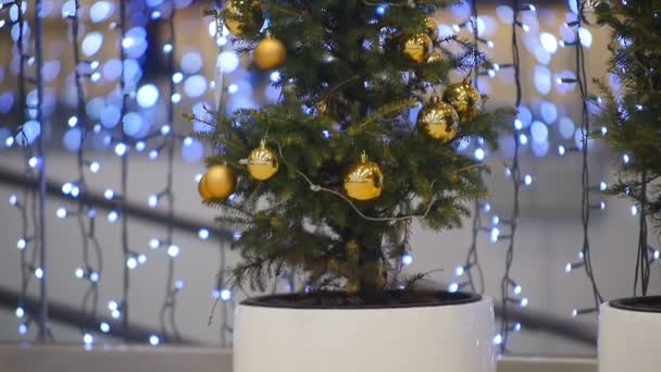 Kamera Altın Toplar Mavi Çelenklerle Süslenmiş Güzel Bir Noel Ağacı — Stok video