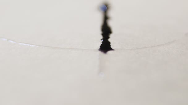 Makro siyah mürekkep damla yayılır — Stok video