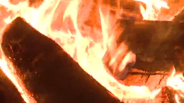Journaux dans la flamme chaude vive — Video