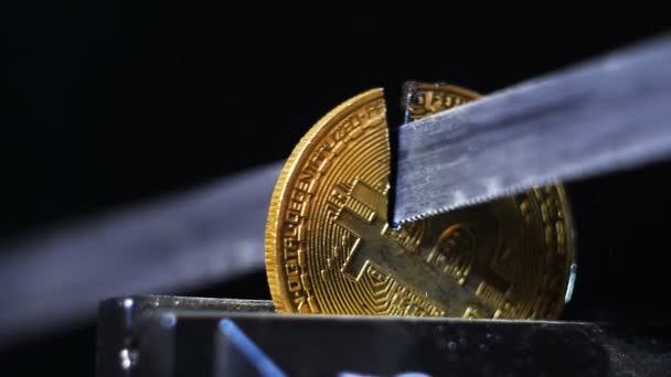 Modell der goldenen Bitcoins — Stockvideo