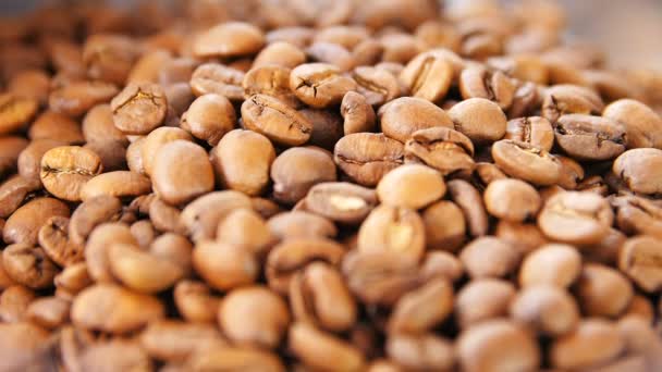 Na aromatické kávě zrna — Stock video