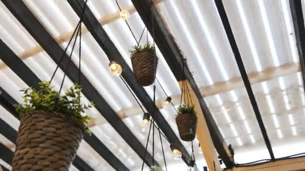 Камера Показывает Красивый Потолок Современного Кафе Украшенный Живыми Растениями Горшках — стоковое видео