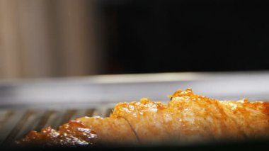  taze lezzetli barbekü et