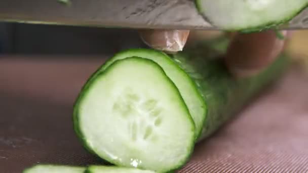 Fogão Closeup Corta Pepino Suculento Verde Fresco Pedaços Finos Com — Vídeo de Stock