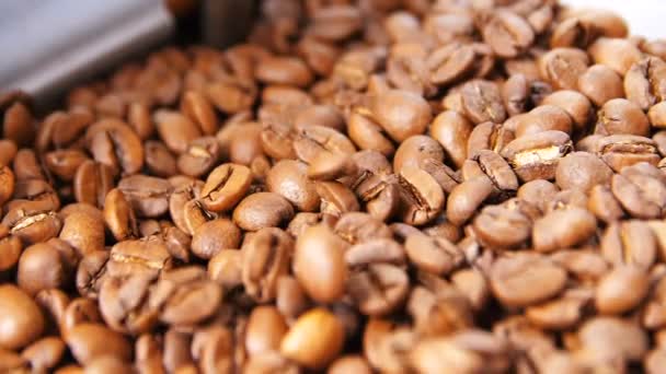 Na aromatické kávě zrna — Stock video