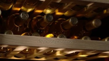 Makro pahalı tahsil kırmızı şarap şişeleri ile raflarda yer alan uzun vadeli koruma