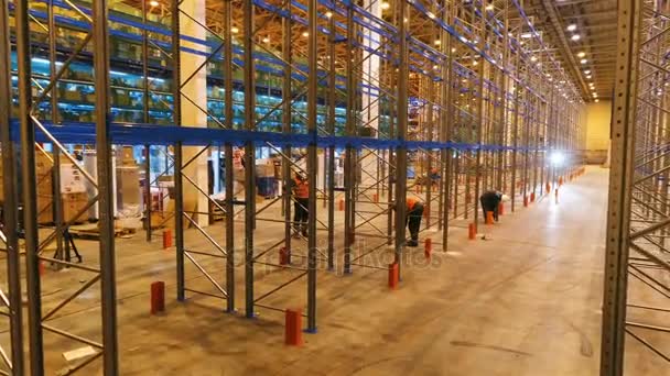 Motion Large Warehouse Assembled Modern Metal Racks Skilled Workers Constructions — Stock Video