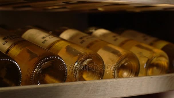 俄罗斯 2017年10月25日 宏透明葡萄酒瓶储存在货架上 成熟到最佳年龄在冷藏柜上10月25日在喀山 — 图库视频影像