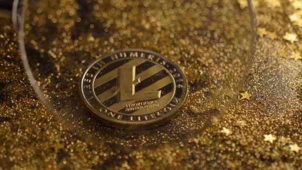 Makro Mince Pod Lupa Patří Litecoin Virtuální Měna Která Data — Stock video