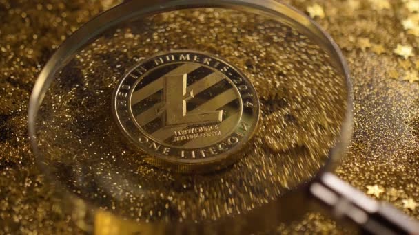 マクロ実 Litecoin モデル新世代 Cryptocurrency に属しているし 黄金のほこりに対して拡大鏡増 — ストック動画
