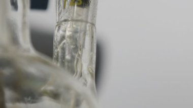 Makro özel cam tüp açık ampul koymak sarı ham petrol örnek modern bitki laboratuvarda alır. 