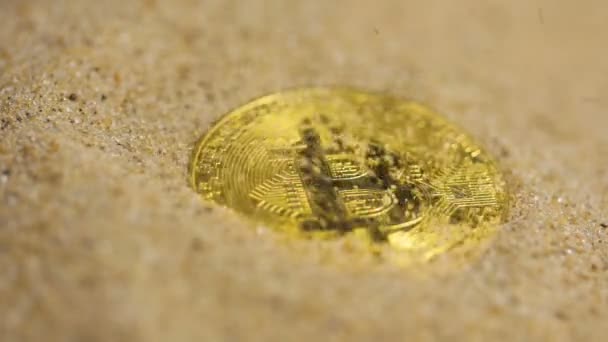 Sabbia Che Cade Souvenir Bitcoin — Video Stock