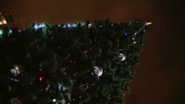 Taşaklı Noel ağacı ve kışın parlayan peri ışıkları