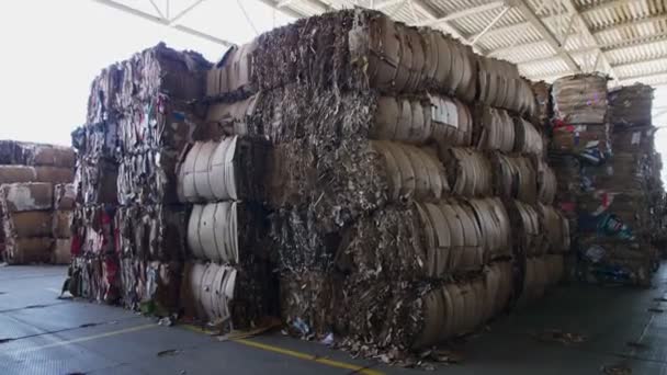 Pila de papel usado almacenado en un almacén abierto en la planta — Vídeo de stock