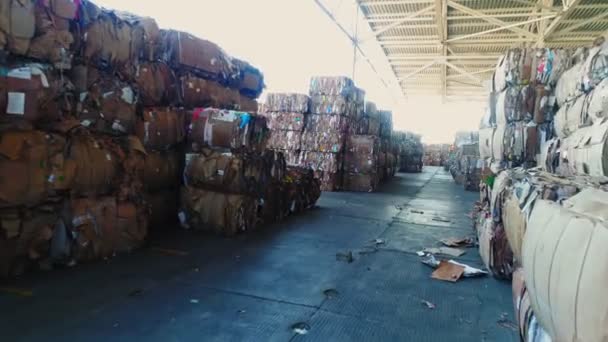Movimento passado pilhas de resíduos de blocos de papel na fábrica de reciclagem — Vídeo de Stock