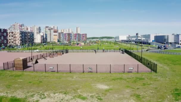 Sol avec équipement pour dressage de chien vue d'oiseau — Video